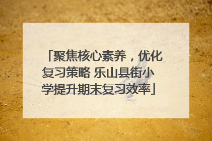聚焦核心素养，优化复习策略 乐山县街小学提升期末复习效率