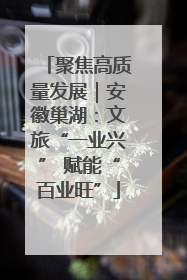 聚焦高质量发展｜安徽巢湖：文旅“一业兴” 赋能“百业旺”