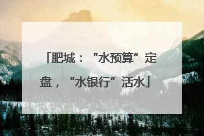 肥城：“水预算”定盘，“水银行”活水