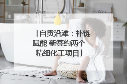 自贡沿滩：补链赋能 新签约两个精细化工项目
