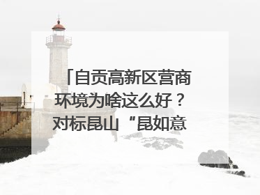 自贡高新区营商环境为啥这么好？对标昆山“昆如意”打造自贡“高兴办”｜美好生活有“盐”味