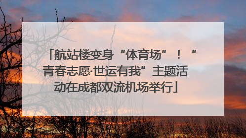 航站楼变身“体育场”！“青春志愿·世运有我”主题活动在成都双流机场举行