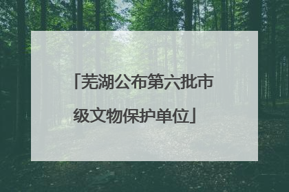芜湖公布第六批市级文物保护单位