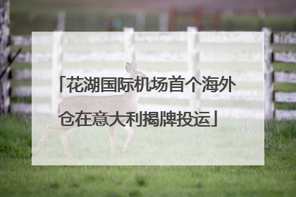 花湖国际机场首个海外仓在意大利揭牌投运