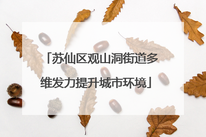 苏仙区观山洞街道多维发力提升城市环境