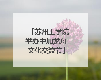 苏州工学院举办中加龙舟文化交流节