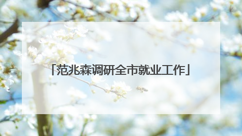 范兆森调研全市就业工作