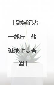 融媒记者一线行｜盐碱地上麦香溢