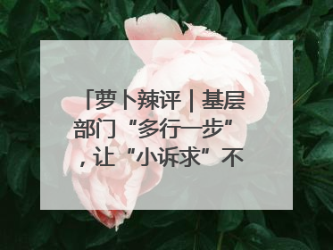 萝卜辣评｜基层部门“多行一步”，让“小诉求”不缺席法治守护