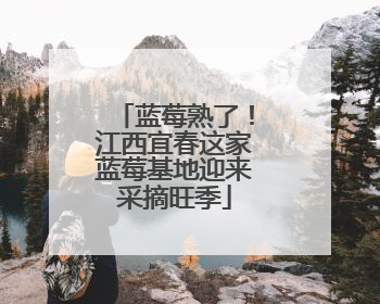 蓝莓熟了！江西宜春这家蓝莓基地迎来采摘旺季