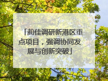 蔺佳调研新港区重点项目，强调协同发展与创新突破