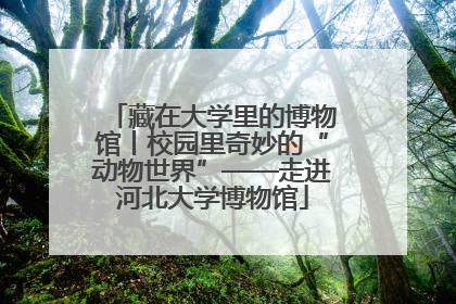 藏在大学里的博物馆丨校园里奇妙的“动物世界”——走进河北大学博物馆