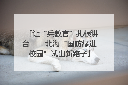 让“兵教官”扎根讲台——北海“国防绿进校园”试出新路子