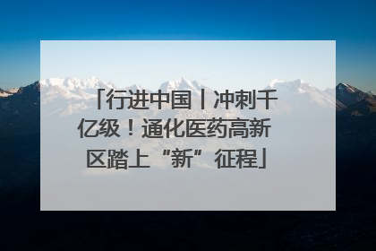 行进中国丨冲刺千亿级！通化医药高新区踏上“新”征程