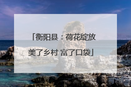 衡阳县：荷花绽放 美了乡村 富了口袋