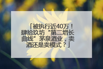 被执行近40万！肆拾玖坊“第二增长曲线”茅泉酒业，卖酒还是卖模式？