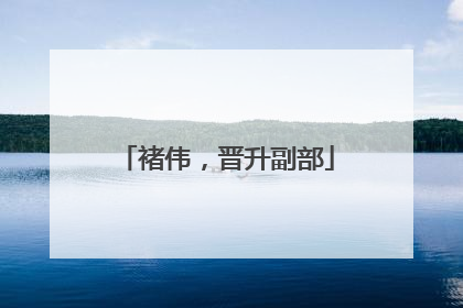 褚伟，晋升副部
