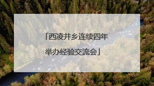 西凌井乡连续四年举办经验交流会