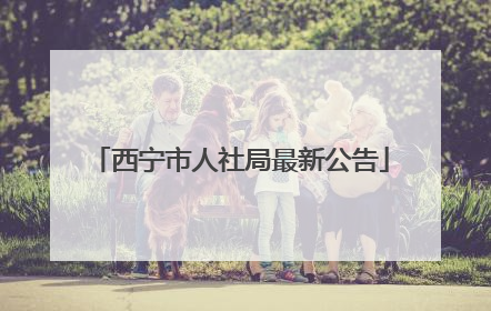 西宁市人社局最新公告