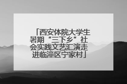 西安体院大学生暑期“三下乡”社会实践文艺汇演走进临潼区宁家村