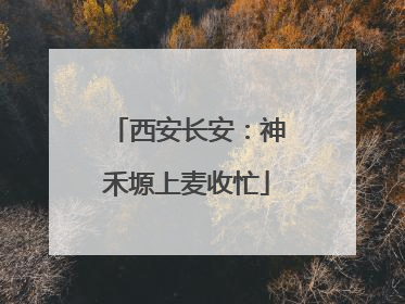 西安长安：神禾塬上麦收忙