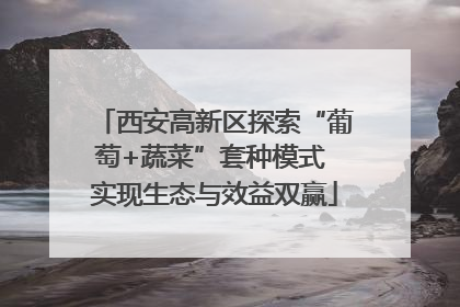 西安高新区探索“葡萄+蔬菜”套种模式 实现生态与效益双赢