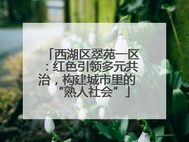 西湖区翠苑一区：红色引领多元共治，构建城市里的“熟人社会”
