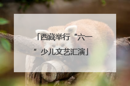 西藏举行“六一”少儿文艺汇演