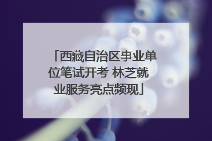 西藏自治区事业单位笔试开考 林芝就业服务亮点频现