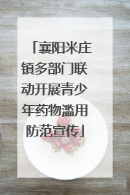 襄阳米庄镇多部门联动开展青少年药物滥用防范宣传