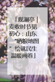 观澜亭｜麦收时节见初心：山东“晒粮地图”绘就民生温暖画卷