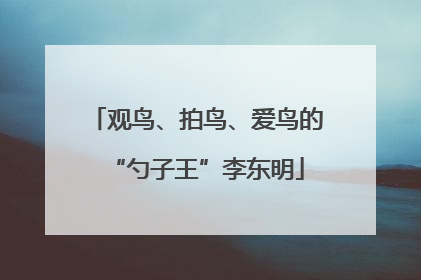 观鸟、拍鸟、爱鸟的“勺子王”李东明