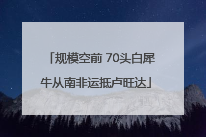 规模空前 70头白犀牛从南非运抵卢旺达