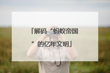解码“蚂蚁帝国”的亿年文明