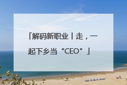 解码新职业丨走，一起下乡当“CEO”