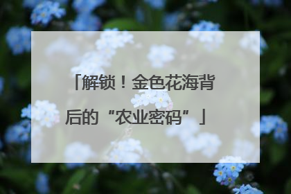 解锁！金色花海背后的“农业密码”