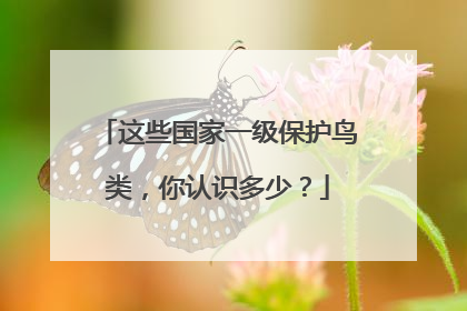 这些国家一级保护鸟类，你认识多少？