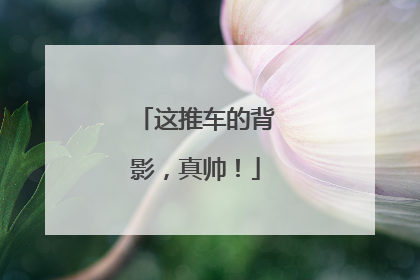 这推车的背影，真帅！