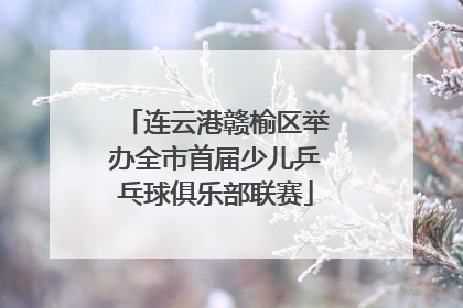 连云港赣榆区举办全市首届少儿乒乓球俱乐部联赛