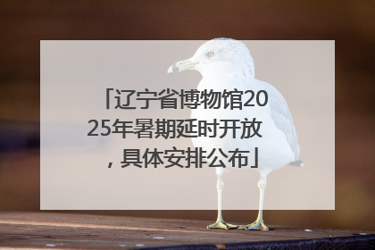 辽宁省博物馆2025年暑期延时开放，具体安排公布