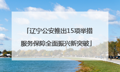 辽宁公安推出15项举措服务保障全面振兴新突破