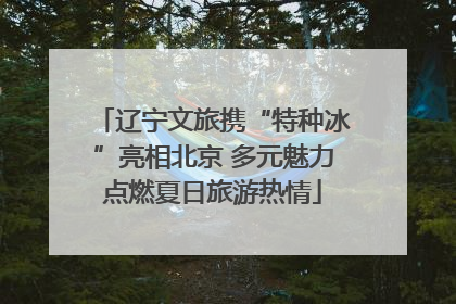 辽宁文旅携“特种冰”亮相北京 多元魅力点燃夏日旅游热情