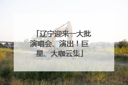 辽宁迎来一大批演唱会、演出！巨星、大咖云集