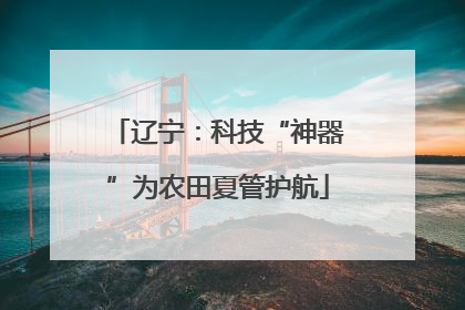 辽宁：科技“神器”为农田夏管护航