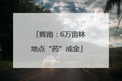辉南：6万亩林地点“药”成金