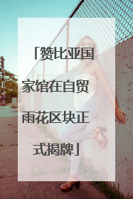 赞比亚国家馆在自贸雨花区块正式揭牌