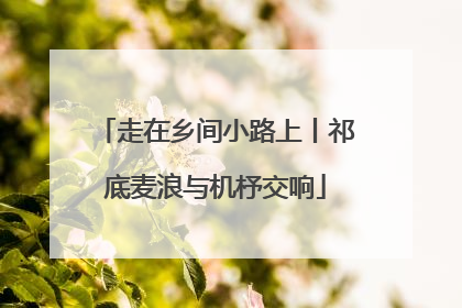 走在乡间小路上丨祁底麦浪与机杼交响