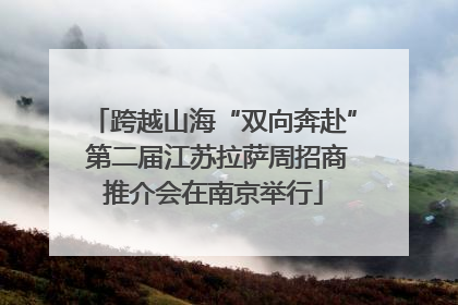 跨越山海“双向奔赴” 第二届江苏拉萨周招商推介会在南京举行