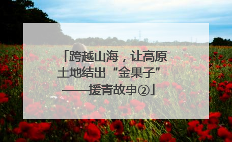 跨越山海，让高原土地结出“金果子”——援青故事②