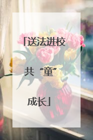 送法进校 共“童”成长